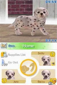 cheats for nintendogs dalmatian and friends